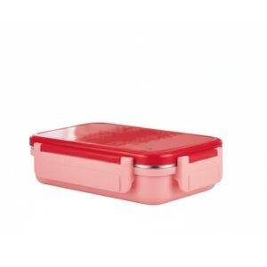 Fun Feast 2 Premium Insulated Leak-Proof Lunch Box