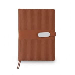 RC- N-CSP- Diary - D-224